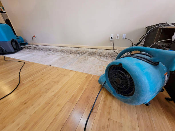 Professional Water Extraction technician working in Hickory Corners, MI